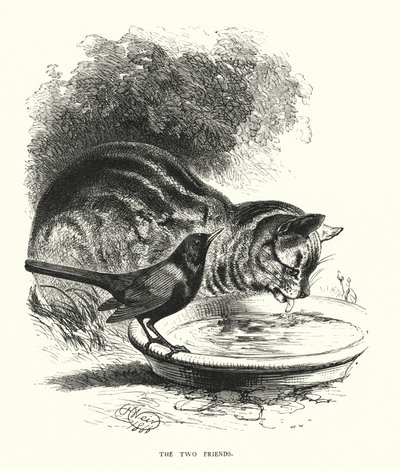 Dva přátelé (rytina) od Harrison William Weir