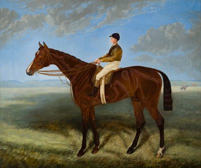 Salpinctes-a závodní kůň, kolem 1814-82 (olej na plátně) od Harry (after) Hall