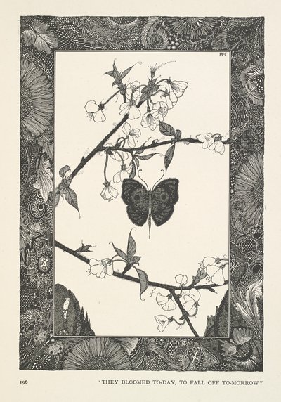 Motýl. Dnes vykvetly, zítra opadnou. od Harry Clarke