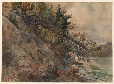 Jezero Memphremagog, c. 80. léta 19. století. od Harry Fenn