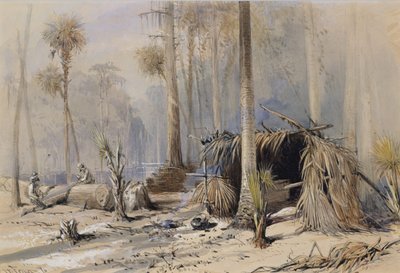 The Cypress-Shingle Yard, Ocklawaha River, Florida, 1870. od Harry Fenn