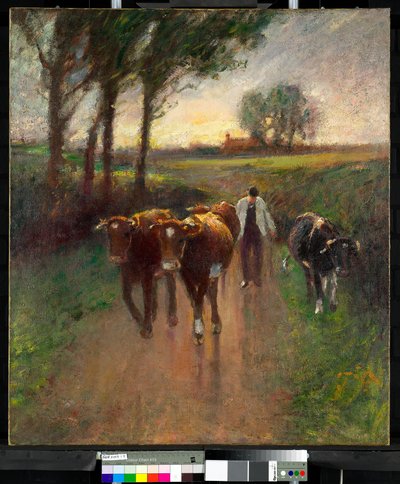 Vyhánění krav na pastvu od Harry Fidler