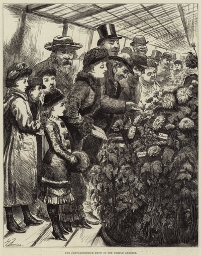 Výstava chryzantém v chrámových zahradách od Harry Furniss
