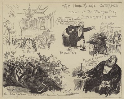 Rozhořčení domácí vládci, scény z banketu v Dublinu od Harry Furniss