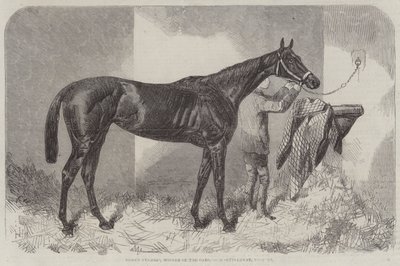 Brown Duchess, vítězka dostihu Oaks od Harry Hall