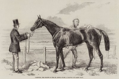 Gamester, vítěz St Leger od Harry Hall