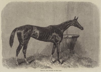 Regalia, vítěz Oaks od Harry Hall