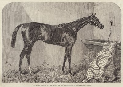 Vévoda, vítěz Goodwood a Brighton Cup od Harry Hall