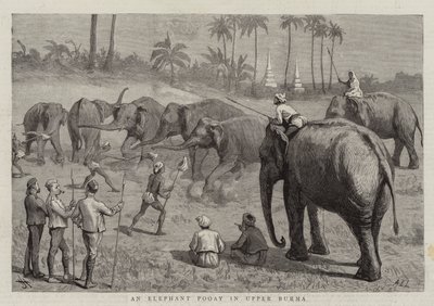 An Elephant Pooay v Horní Barmě od Harry Hamilton Johnston