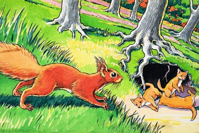 Malá zrzavá veverka od Harry M. Pettit