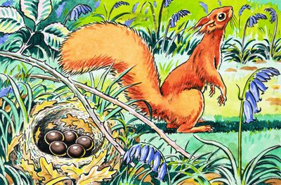 Malá zrzavá veverka od Harry M. Pettit