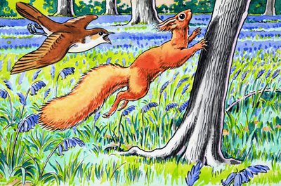 Červená veverka od Harry M. Pettit