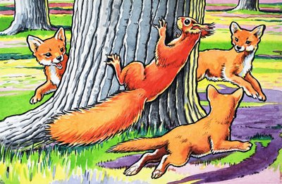 Malá zrzavá veverka od Harry M. Pettit