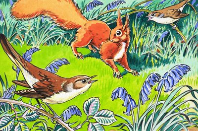 Malá zrzavá veverka od Harry M. Pettit