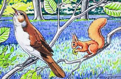 Malá zrzavá veverka od Harry M. Pettit