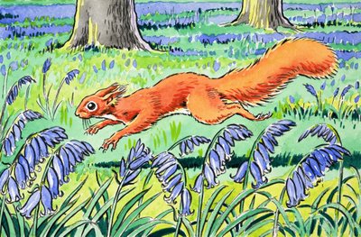 Malá zrzavá veverka od Harry M. Pettit