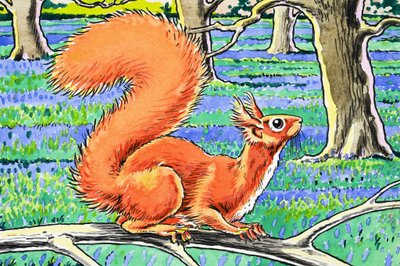 Červená veverka od Harry M. Pettit