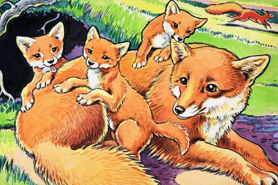 Červená veverka od Harry M. Pettit