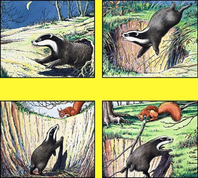 Malá zrzavá veverka od Harry M. Pettit