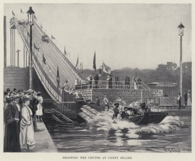 Střílení skluzů na Coney Island (litho) od Harry M. Pettit