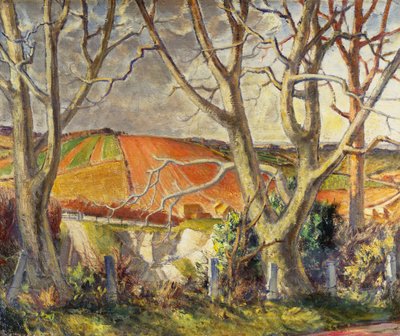 Dorset Chalk Quarry (olej na plátně) od Harry Morley