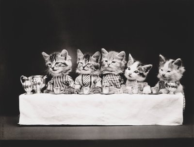 Série Kitties: 1914 (stříbrný tisk) od Harry Whittier Frees