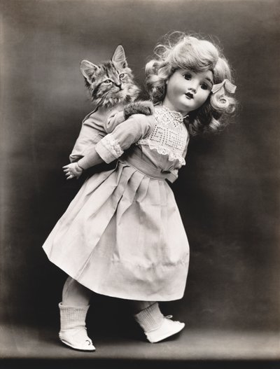 Série Kitties: 1914 (stříbrný tisk) od Harry Whittier Frees