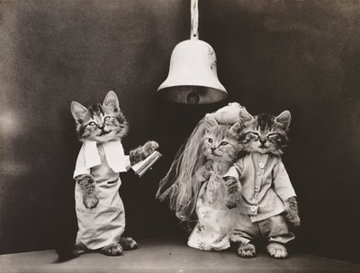 Série Kitties: 1914 (stříbrný tisk) od Harry Whittier Frees