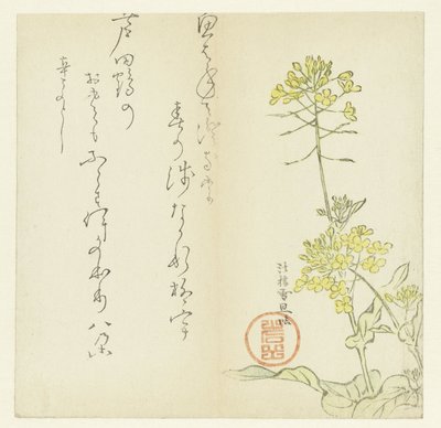 Květiny od Hasegawa Settan