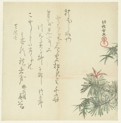 Borovice od Hasegawa Settan