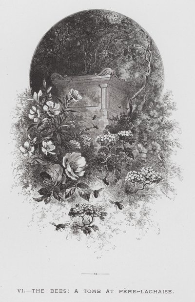 Hmyz: Včely, hrobka v Pere-Lachaise (rytina) od Hector Giacomelli