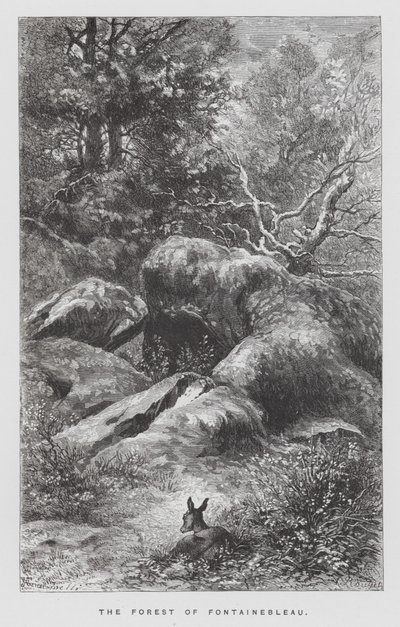 Hmyz: Les Fontainebleau (rytina) od Hector Giacomelli