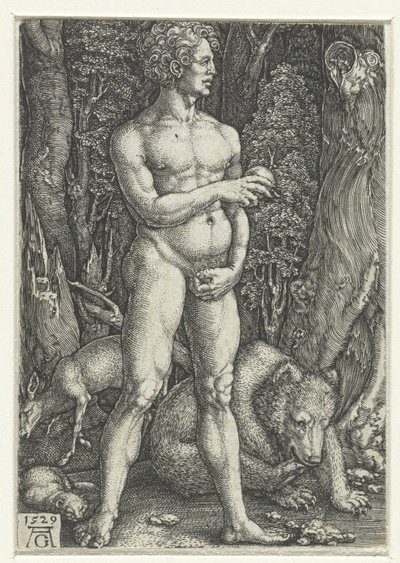 Adame od Heinrich Aldegrever