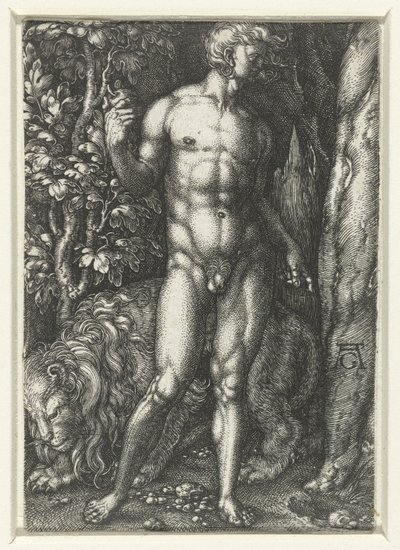 Adame od Heinrich Aldegrever