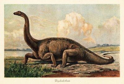 Vyhynulý Diplodocus longus na pláních. od Heinrich Harder