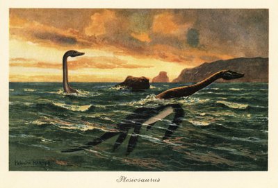 Plesiosaurus dolichodeirus v oceánu. od Heinrich Harder