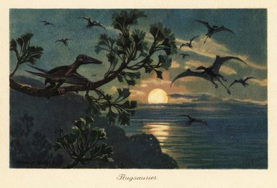 Rhamphorhynchus pterosauři létající v měsíčním světle. od Heinrich Harder