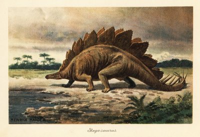 Stegosaurus armatus z pozdní jury. od Heinrich Harder