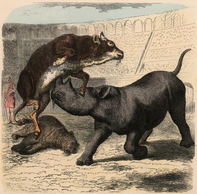 Starověký Řím: Zvířata bojující v amfiteátru od Heinrich Leutemann