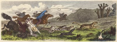Lov pumy s lasy v Brazílii (barevná rytina) od Heinrich Leutemann