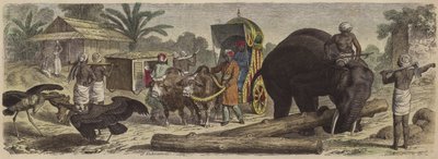 Scéna v Bengálsku, Indie (barevná rytina) od Heinrich Leutemann