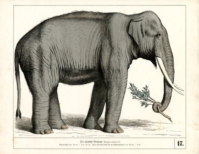  od Heinrich Leutemann