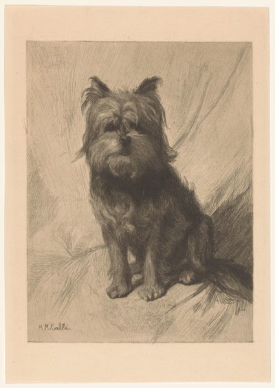 Holandský smoushund od Heinrich M. Krabbé