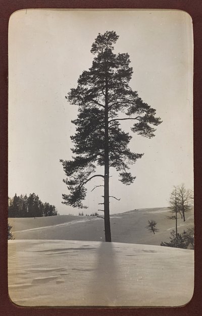 První světová válka: „Ukrajina v letech 1914-1916 během invaze německé armády. Krajina se sněhem (černobílá fotografie) od Heldenfriedhof Dsessentniki (attr. to)