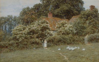 Chata ve Farringfordu, Isle of Wight od Helen Allingham