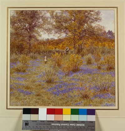 Bluebell Copse, 1889 od Helen Allingham