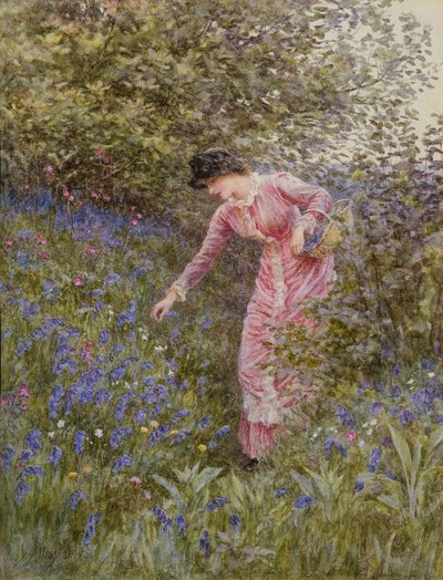 Gathering Bluebells (wc s barvou těla na papíře) od Helen Allingham