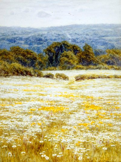 Oxeye Daisies, poblíž Westerham, Kent (akvarel na papíře) od Helen Allingham