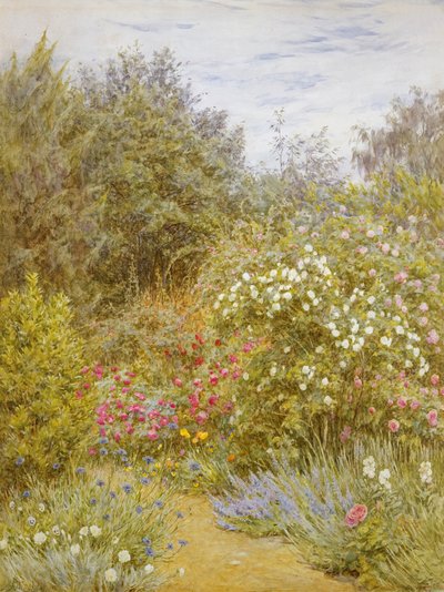 Roses in a Surrey Garden (wc na papíře) od Helen Allingham