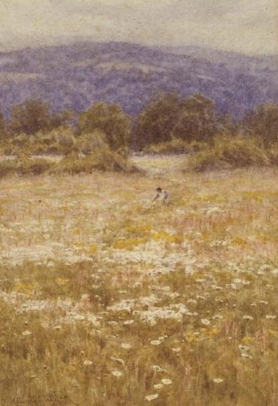 Letní květiny od Helen Allingham